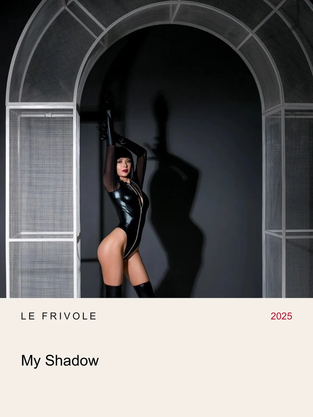 Лукбук My Shadow